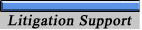Litigation 